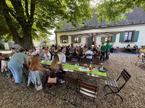 Team sitzt gemeinsam an langen Tischen im Garten des Hofguts beim Sommerfest.